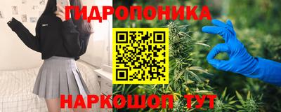 ПСИЛОЦИБИНОВЫЕ ГРИБЫ Кандалакша