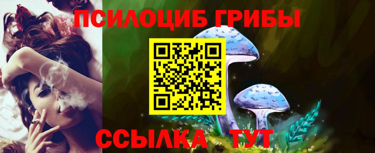 Галлюциногенные грибы GOLDEN TEACHER  Вход с VPN  Карталы 